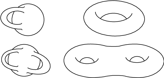 topological surfaces